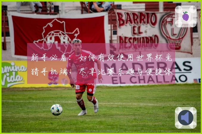 新手必看：如何有效使用世界杯竞猜手机端，尽享比赛乐趣与便捷体验