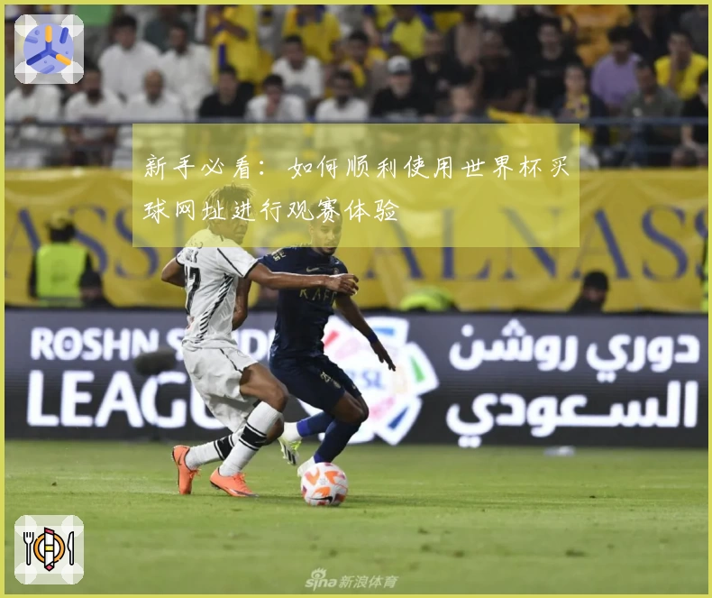 新手必看：如何顺利使用世界杯买球网址进行观赛体验