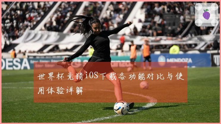 世界杯竞猜iOS下载各功能对比与使用体验详解
