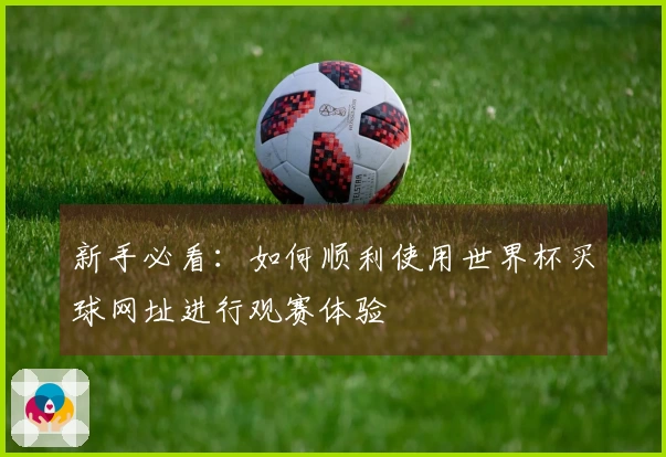 新手必看：如何顺利使用世界杯买球网址进行观赛体验
