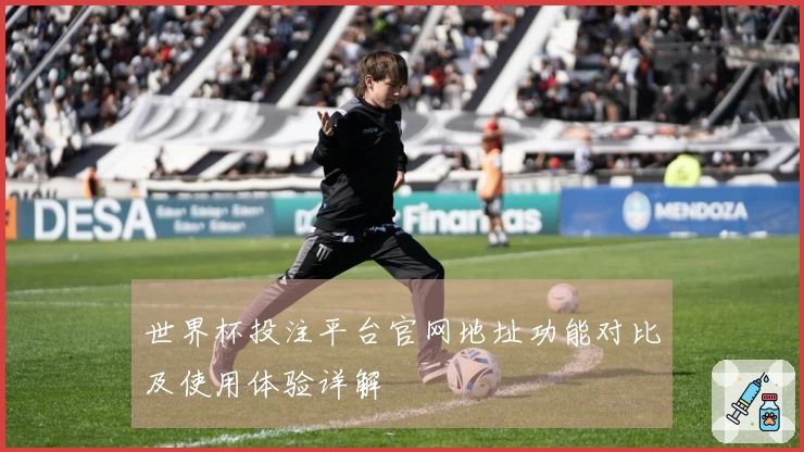 世界杯投注平台官网地址功能对比及使用体验详解
